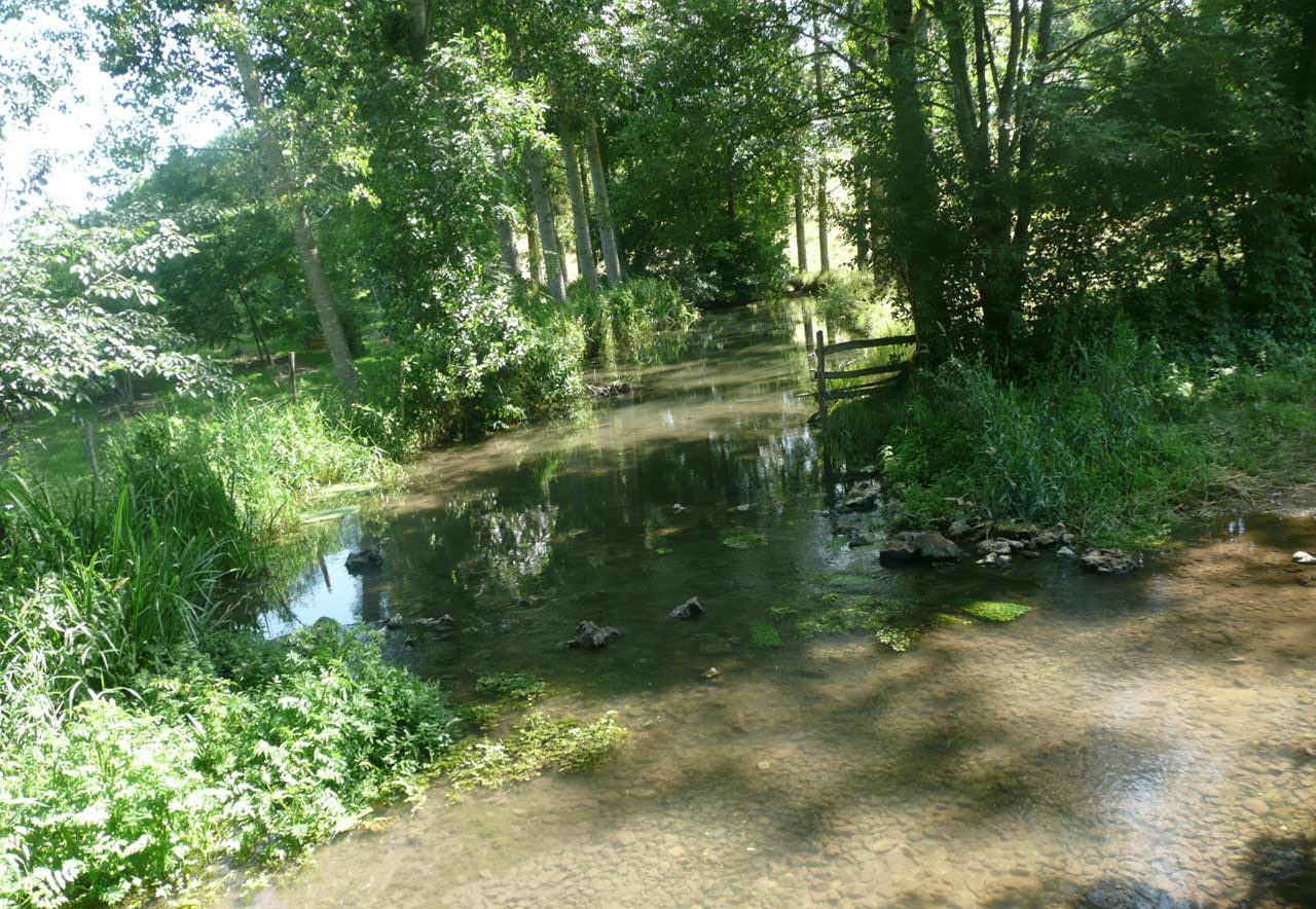 BIARD - Un village où il fait bon vivre